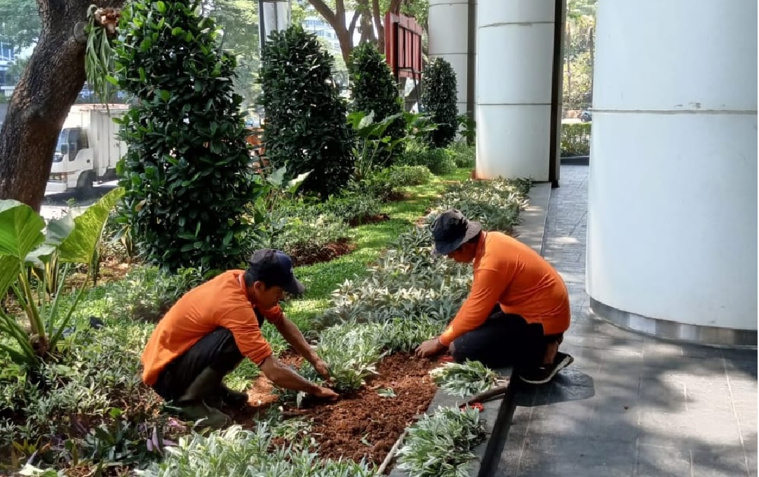 Kebun Dianunxil: Menyemai Layanan Terbaik di Cilacap
